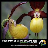 Imagen Programa Viistas Guiadas Comarca Alto Gallego Verano 2015
